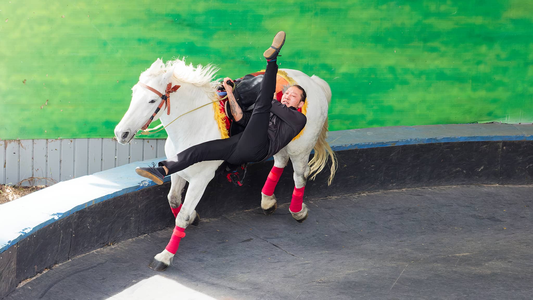 03 - Hehuanshan (40).jpg